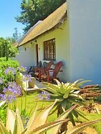 Rosedale Organic Farm B&B