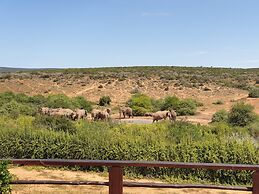 Rosedale Organic Farm B&B