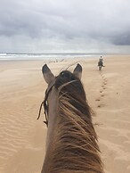 Rosedale Organic Farm B&B