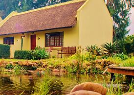 Rosedale Organic Farm B&B