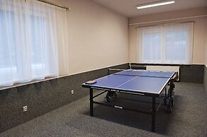 Hotel Vír