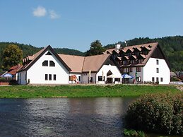 Hotel Vír