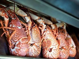 Quinlan & Cooke Boutique Townhouse