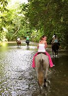 Bosque del Cabo Rain Forest Lodge