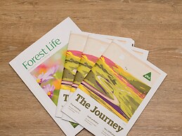 YHA National Forest - Hostel
