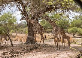 Kiwengwa Beach Resort