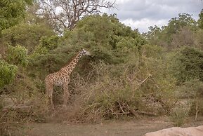 Kiwengwa Beach Resort