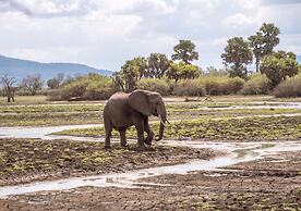 Kiwengwa Beach Resort