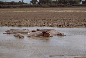 Kiwengwa Beach Resort
