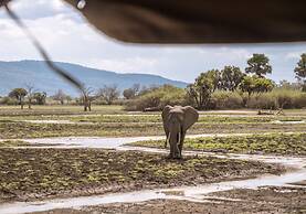Kiwengwa Beach Resort