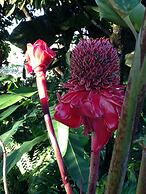 Sana El Jardin Secreto