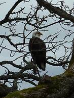 Inlet Beach House B&B