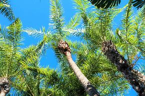 Siesta Palms By the Beach