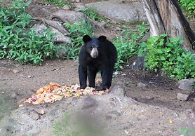Pourvoirie du Lac Blanc