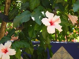 Hotel Casa Bougainvillea