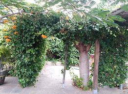 Casas Rurales Los Gavilanes