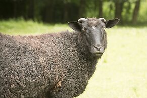 Iffin Farmhouse Accommodation