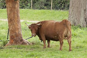 Iffin Farmhouse Accommodation