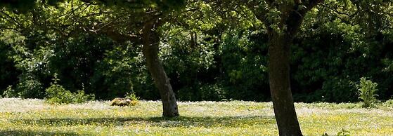 Iffin Farmhouse Accommodation