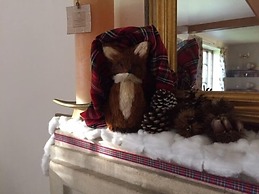 Iffin Farmhouse Accommodation