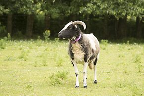 Iffin Farmhouse Accommodation