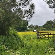 The Ram at Tivetshall