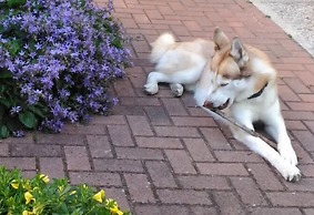 Meublè Villa Patrizia