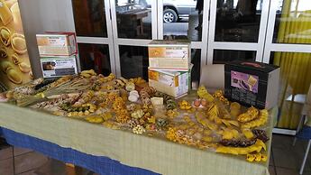 Meublè Villa Patrizia