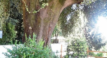 Villa Altieri