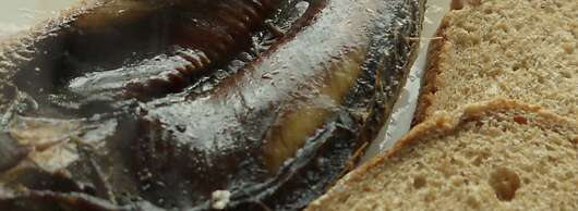 Kilbrannan Guest House