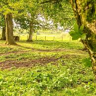 Bessiestown Country Guesthouse