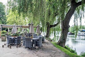 The Rose Revived By Chef and Brewer Collection