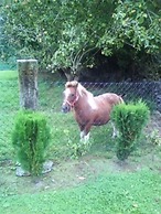 Casa De Aldea El Frade