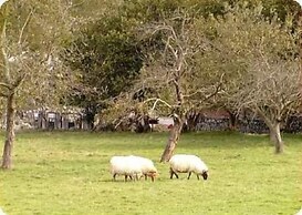 Casa De Aldea El Frade