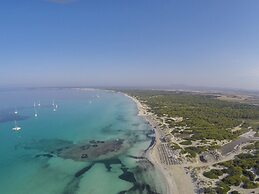 Universal Hotel Marqués