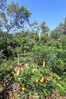 Pousada Canto no Bosque