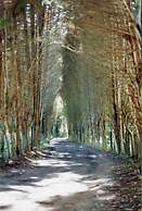 Pousada & Spa Vrindavana