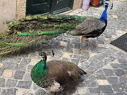 Castle Inn Lisbon Apartments