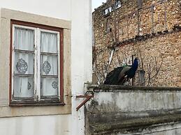 Castle Inn Lisbon Apartments