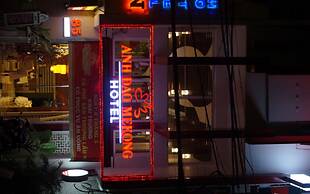 Anh Dao Mekong Hotel