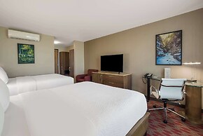 Hotel 11, MOD A Sonesta Collection