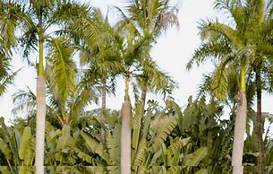 Pullman Resort Xishuangbanna