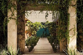 JW Marriott Los Cabos Beach Resort & Spa