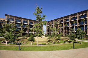 JW Marriott Los Cabos Beach Resort & Spa