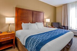 Comfort Inn & Suites Lynchburg Airport - University Area