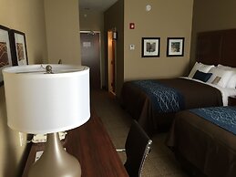 Comfort Inn & Suites Lynchburg Airport - University Area
