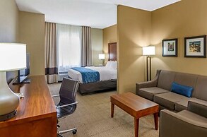 Comfort Inn & Suites Lynchburg Airport - University Area