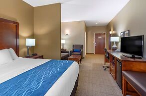 Comfort Inn & Suites Lynchburg Airport - University Area