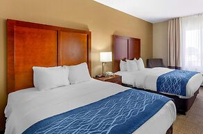 Comfort Inn & Suites Lynchburg Airport - University Area