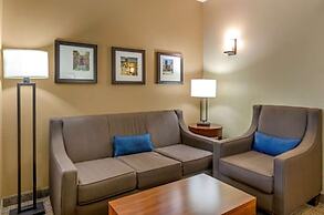 Comfort Inn & Suites Lynchburg Airport - University Area
